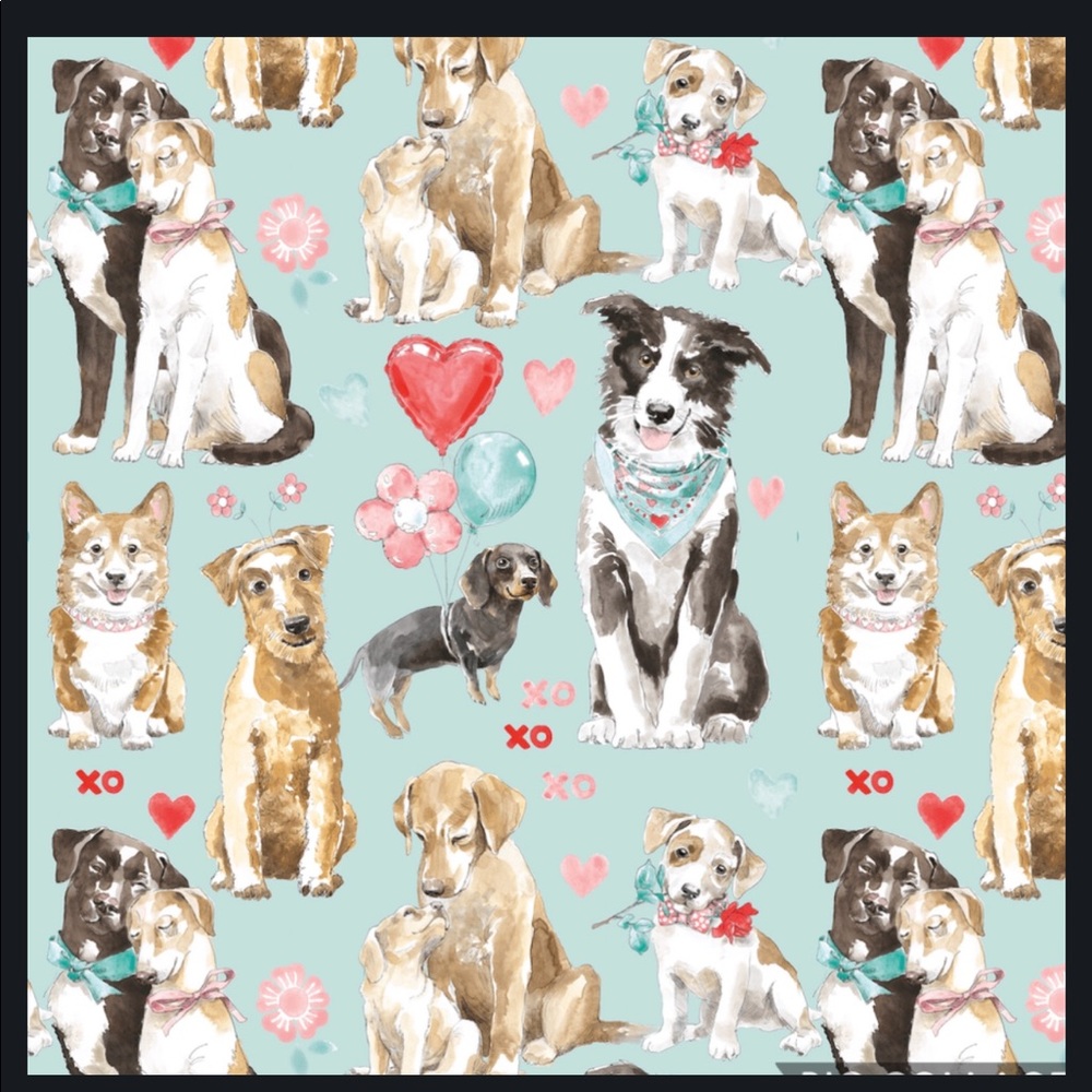 Pet related items